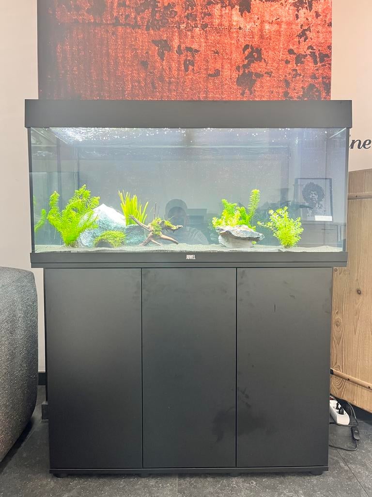 Aquarium juwel rio 180, Dieren en Toebehoren, Ophalen, Zo goed als nieuw, Gevuld zoetwateraquarium