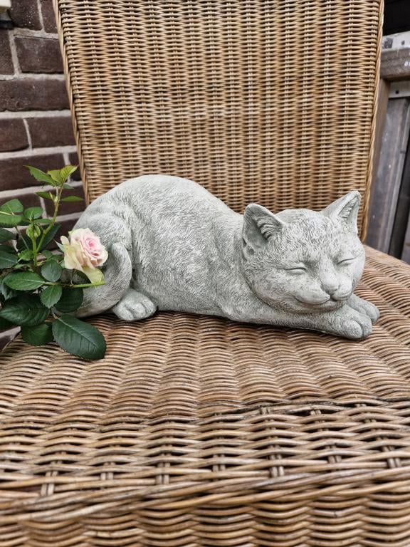 tuinbeeld van een lieve poes , beton, Ophalen of Verzenden, Nieuw, Beton