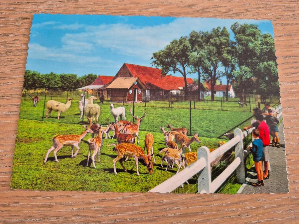 meli park postkaart weide, Verzamelen, Ophalen of Verzenden, Ongelopen, West-Vlaanderen