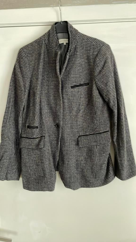 Gerard Darel blazer geruit 40, Ophalen of Verzenden, Zo goed als nieuw