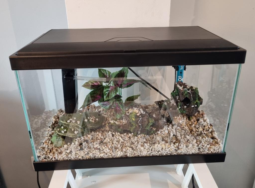 Aquarium 20L - Quasiment neuf, Ophalen, Zo goed als nieuw