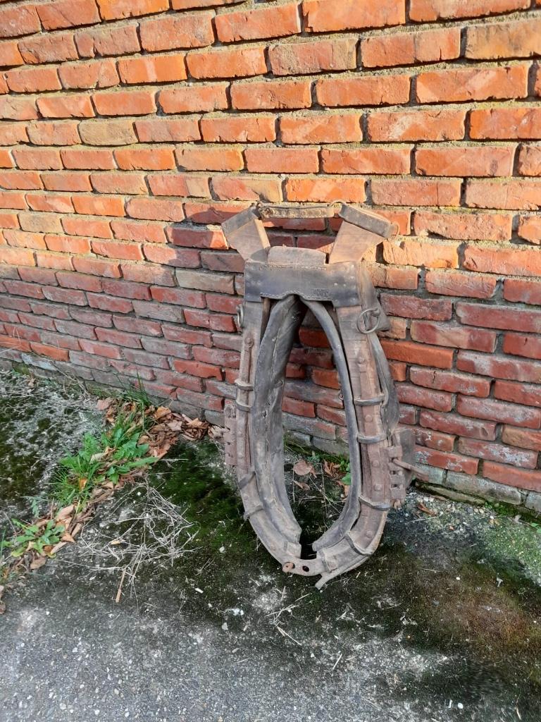 Paardenhaam, Ophalen, Gebruikt