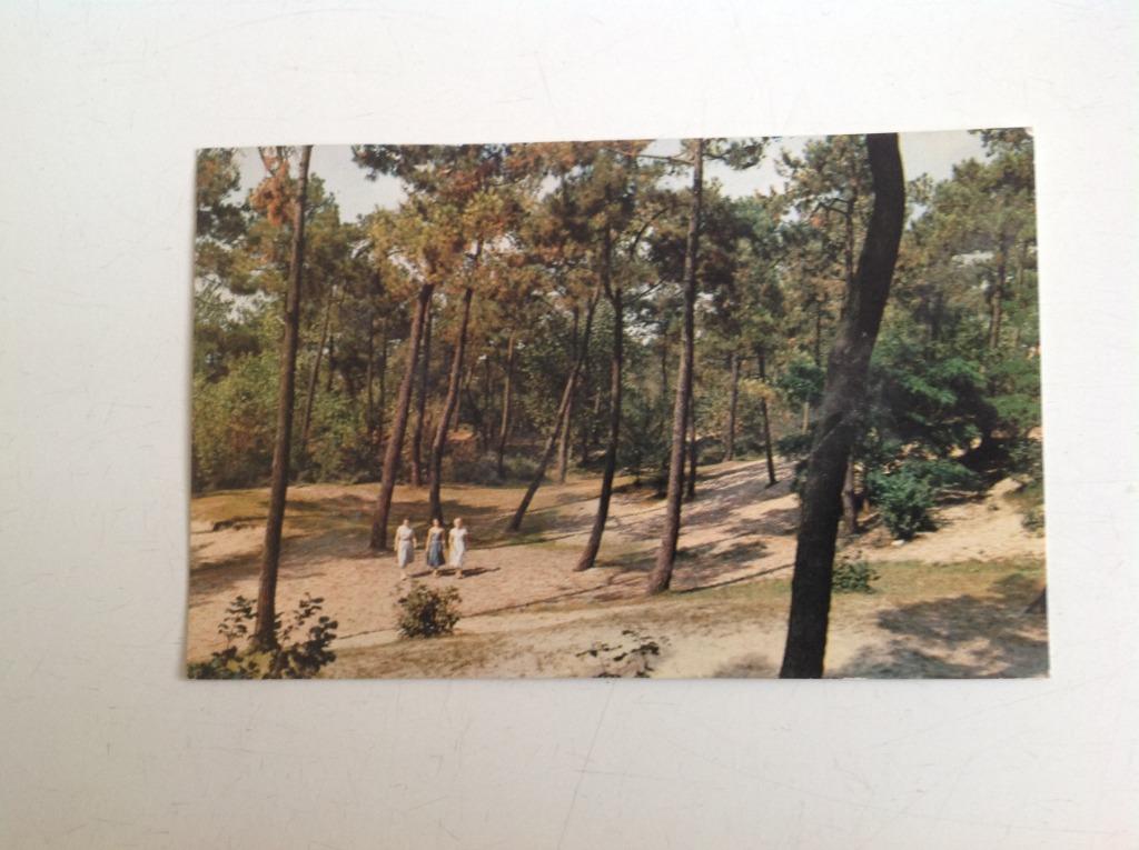 CARTE POSTALE ANCIENNE DE KNOKKE HET ZOUTE /LE ZOUTE, Enlèvement ou Envoi, 1940 à 1960, Affranchie, Flandre Occidentale