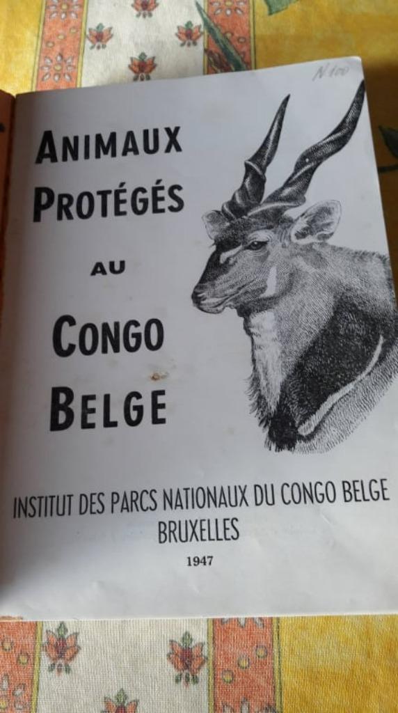 Livre ancien collection Congo Belge, Enlèvement, Utilisé