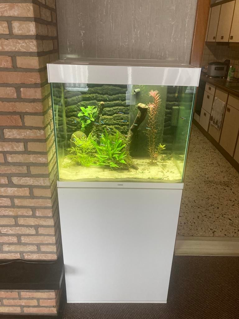 Prachtig ciano aquarium compleet, Enlèvement, Comme neuf