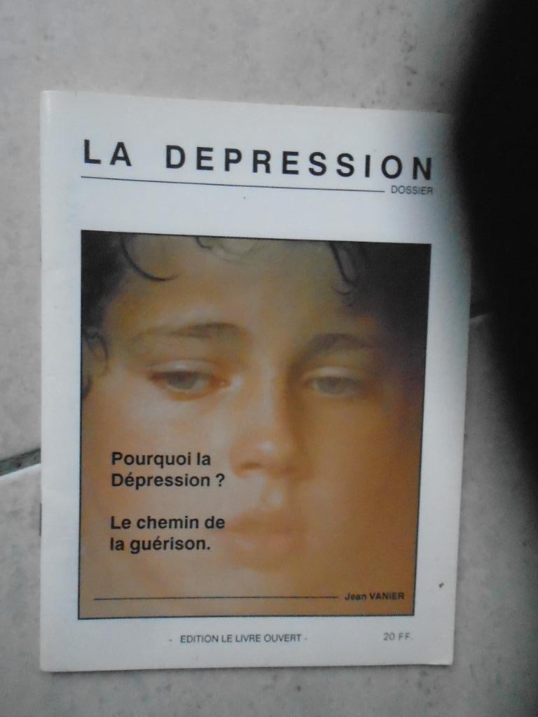 LA DEPRESSION"EDITION LE LIVRE OUVERT"JEAN VANNIER/1990, Livres, Enlèvement ou Envoi, Utilisé, JEAN VANNIER