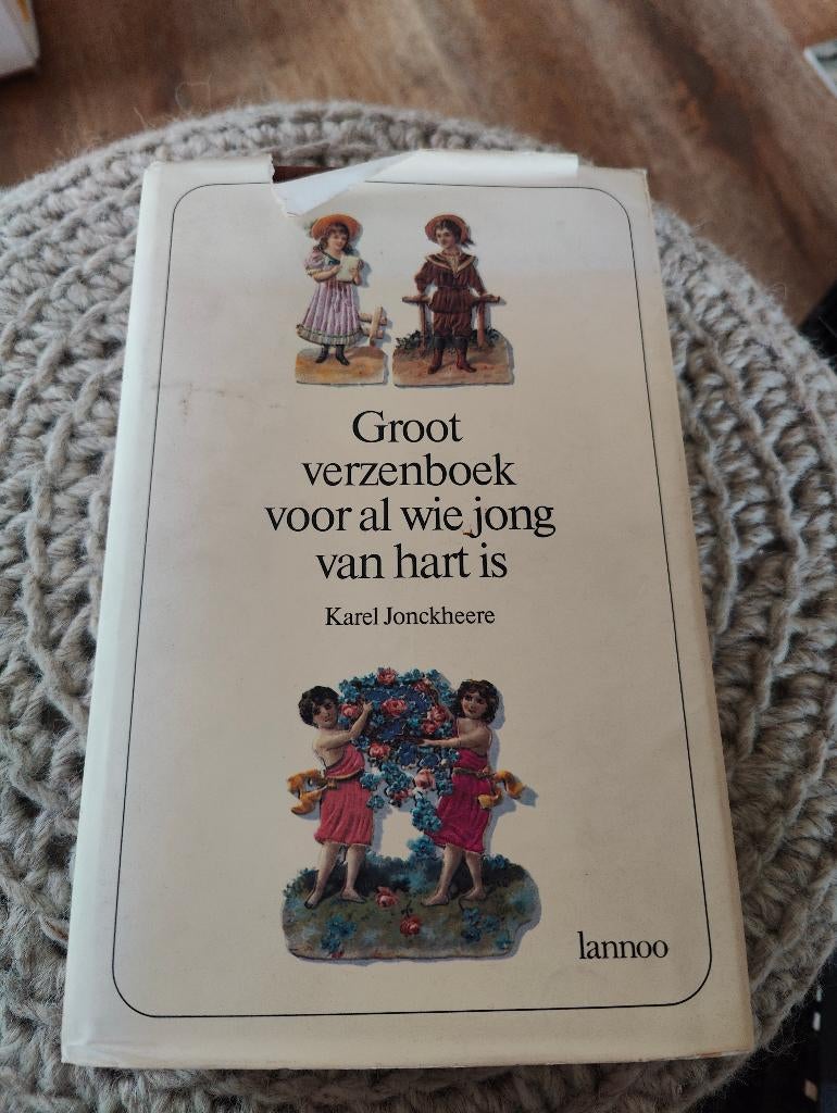 Groot verzenboek voor al wie jong van hart is - Jonckheere, Boeken, Ophalen of Verzenden, Gelezen