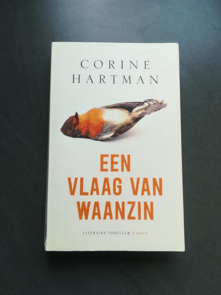 Corine Hartman - Een vlaag van waanzin, Boeken, Thrillers, Gelezen, Ophalen of Verzenden