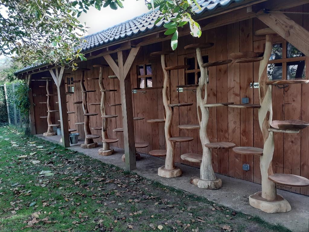 Kattenpalen, Dieren en Toebehoren, Ophalen of Verzenden, Nieuw, Krabpaal