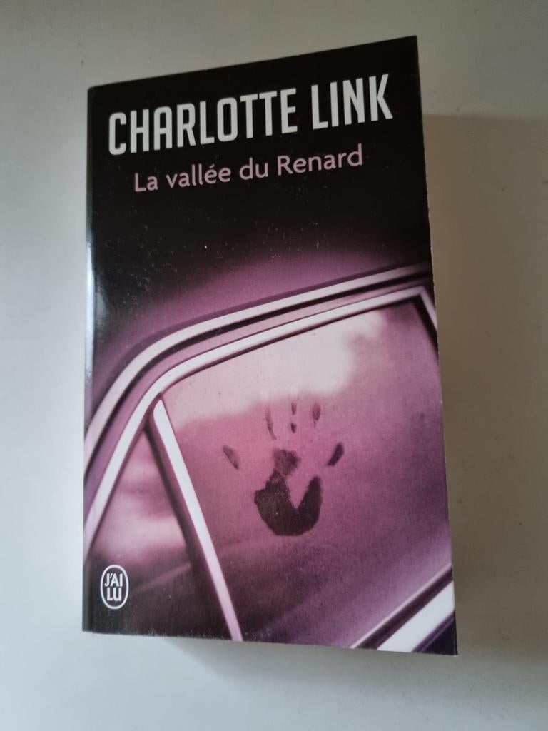 La vallée du renard (Charlotte link) 2016, Boeken, Ophalen of Verzenden, Zo goed als nieuw
