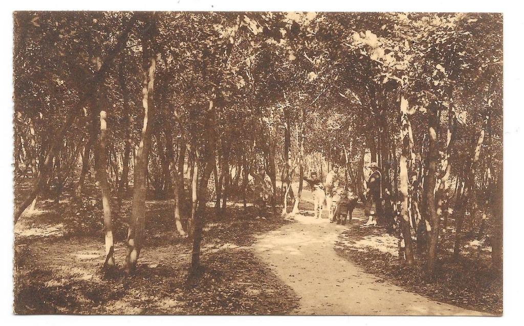 Heyst a zee in 't lommer, Verzamelen, Ophalen of Verzenden, 1940 tot 1960, Gelopen, West-Vlaanderen