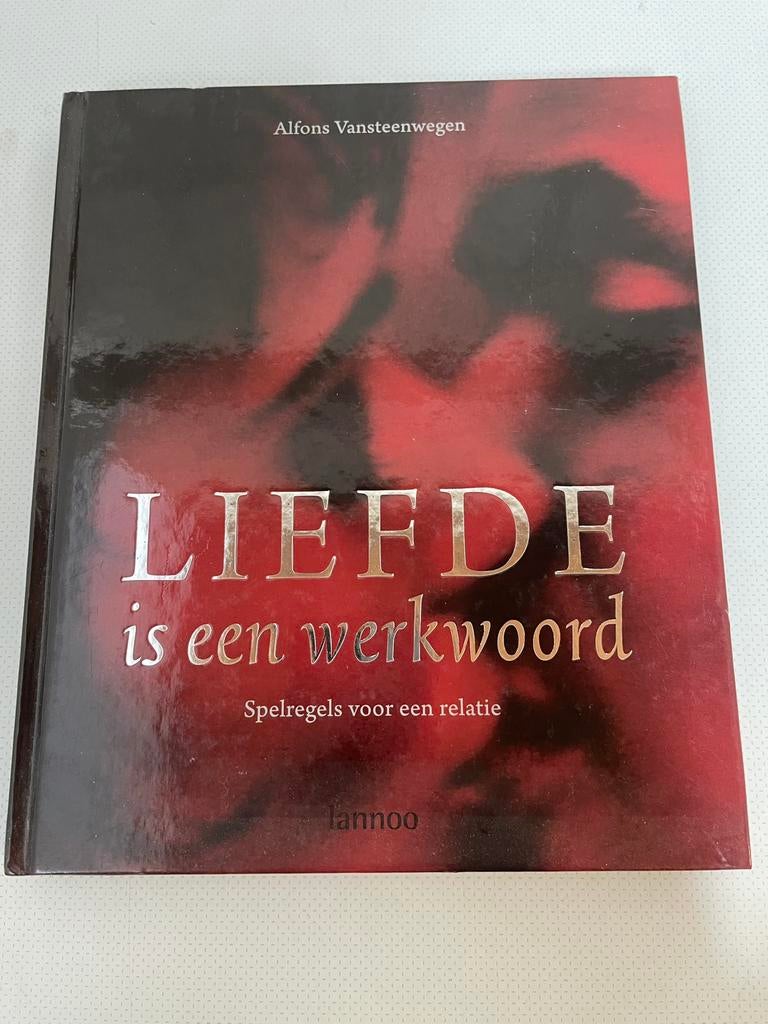 Boek liefde is een werkwoord, Boeken, Ophalen of Verzenden, Zo goed als nieuw