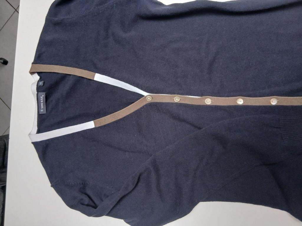 Gilet terre bleu maat 40, Kleding | Dames, Terre Bleue, Ophalen of Verzenden, Zo goed als nieuw