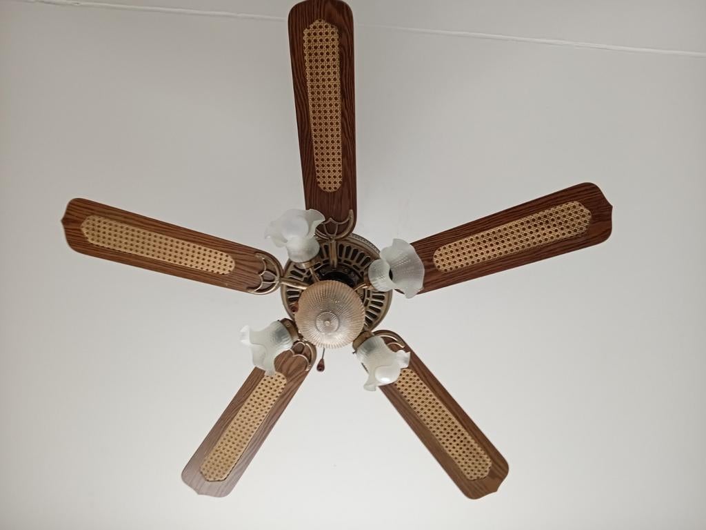 Ventilateur plafond, Enlèvement, Utilisé, Ventilateur de plafond