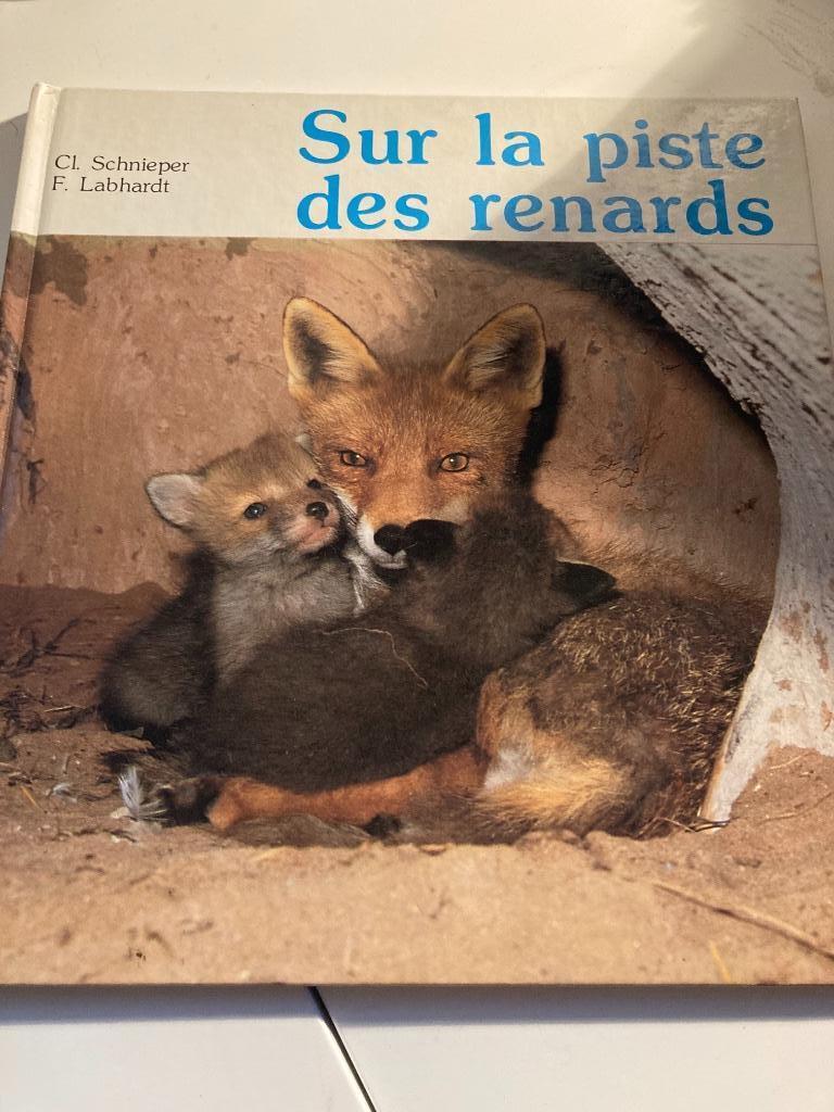 Livre - Sur la piste des renards (Métamorphose de la nature), Ophalen, Gelezen, Non-fictie