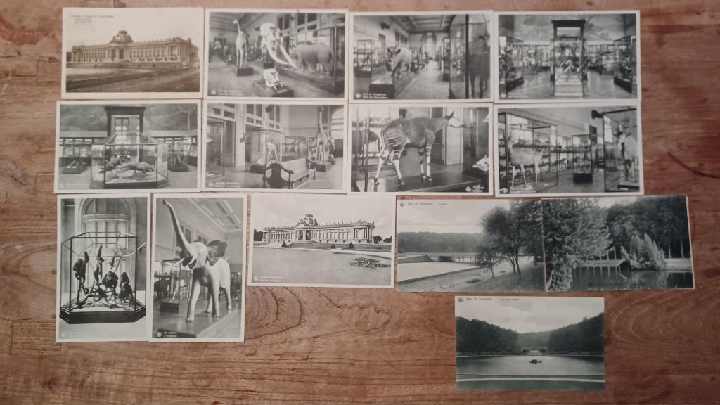 14 x carte postale Tervuren, Enlèvement ou Envoi