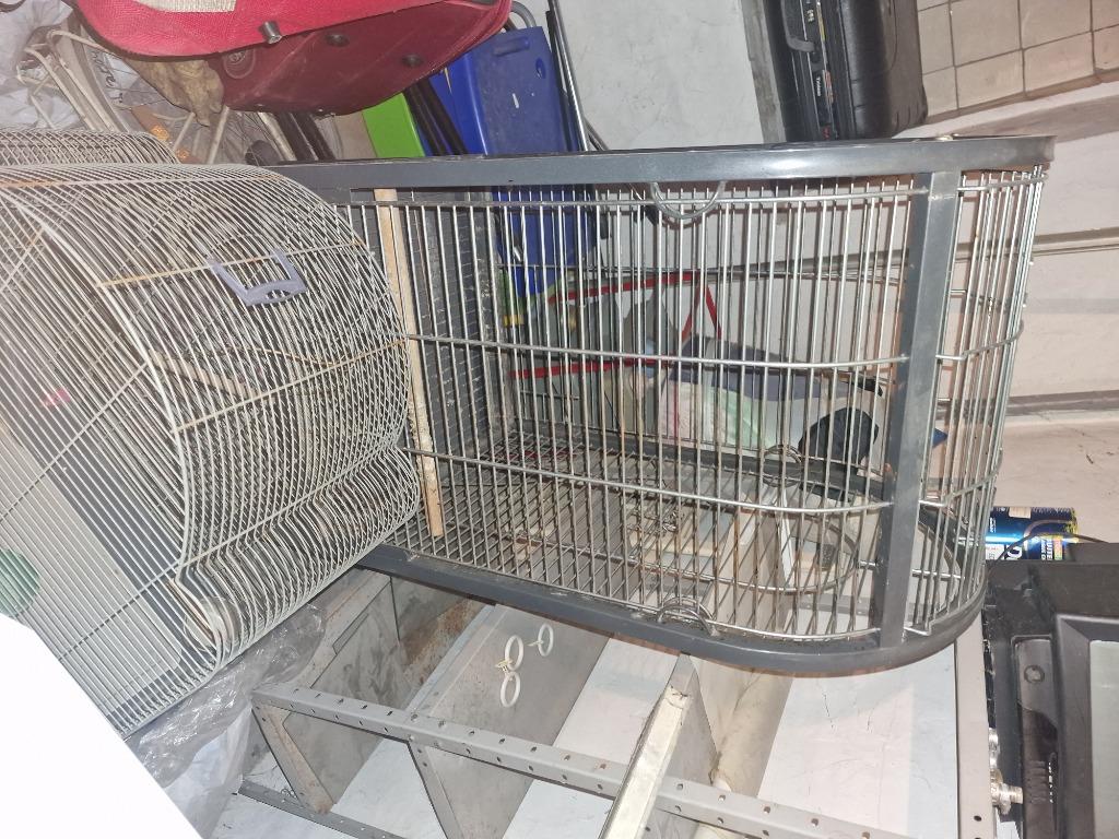 Cage pour perroquet, Ophalen, Gebruikt, Metaal, Vogelkooi