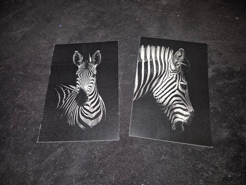 Zwart wit kaarten zebra, Verzamelen, Verzenden