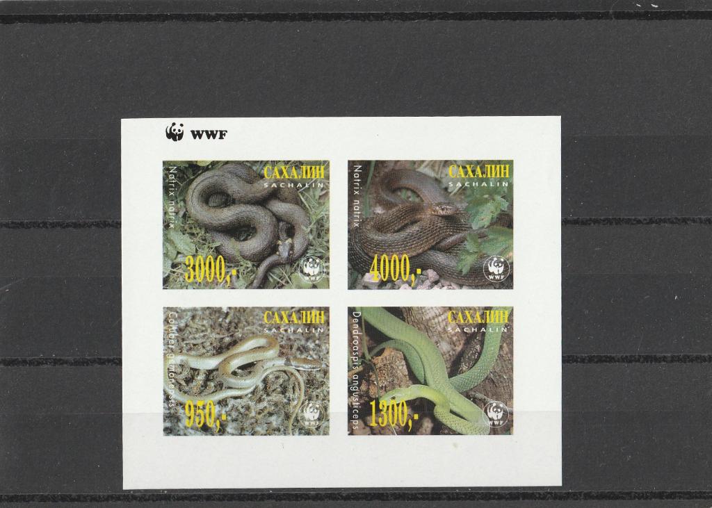 BLOKJE  WWF  SACHALIN ( Russisch eiland )  SLANGEN  POSTFRIS, Postzegels en Munten, Verzenden, Postfris, Dier of Natuur