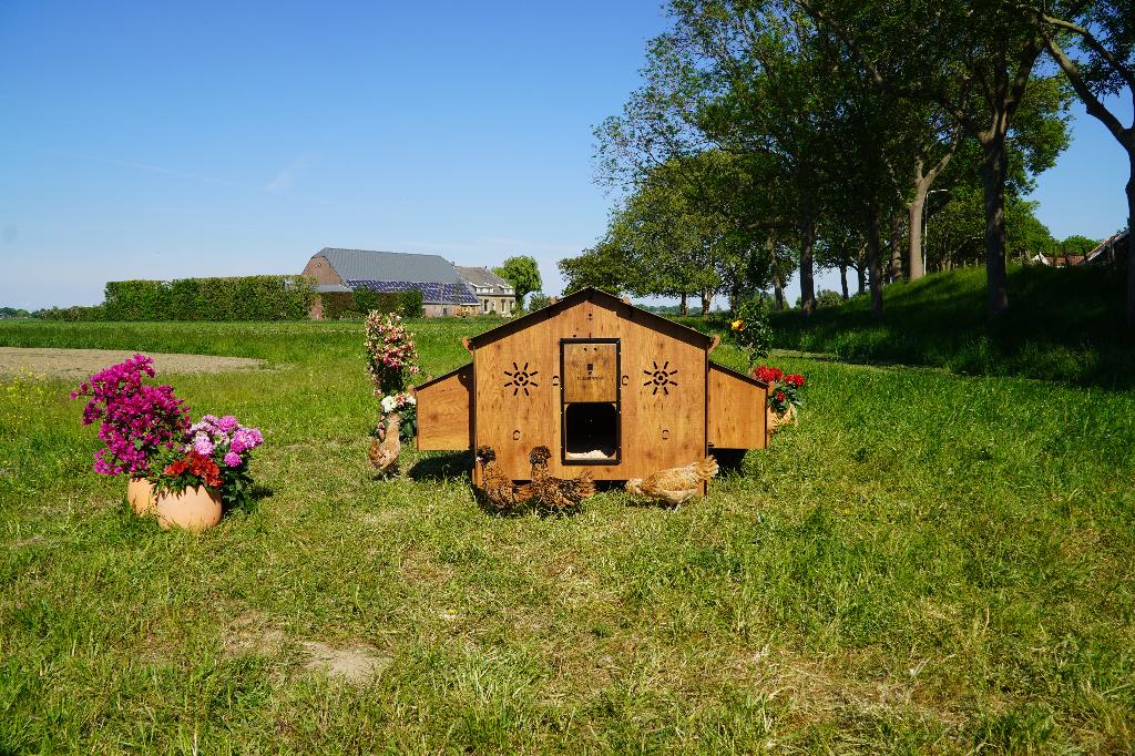 Trespa Kippenhok Cucciolotta | Chalet 4XL, Dieren en Toebehoren, Ophalen of Verzenden, Nieuw, Kippenhok of Kippenren