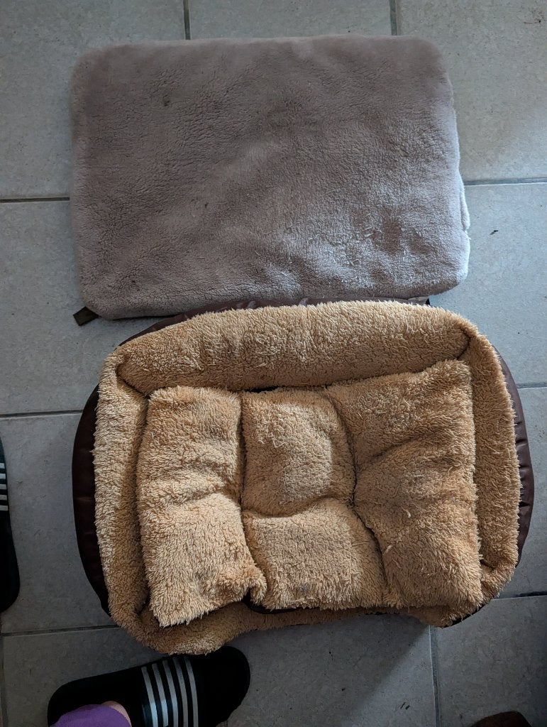 hondenmat, Dieren en Toebehoren, Ophalen, Gebruikt, Overige