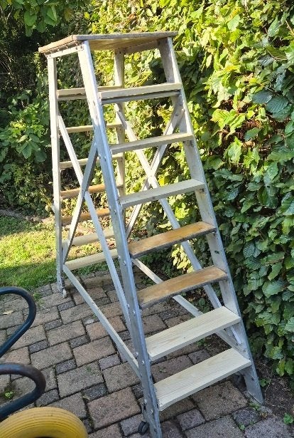 échelle, Bricolage & Construction, Enlèvement, Échelle