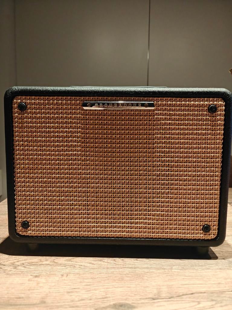 Akoestiesche gitaarversterker, Enlèvement, Guitare