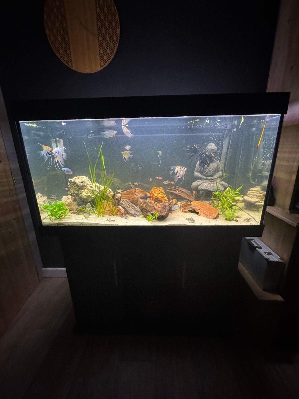 Juwel rio 350l. Zwart., Ophalen, Zo goed als nieuw, Juwel