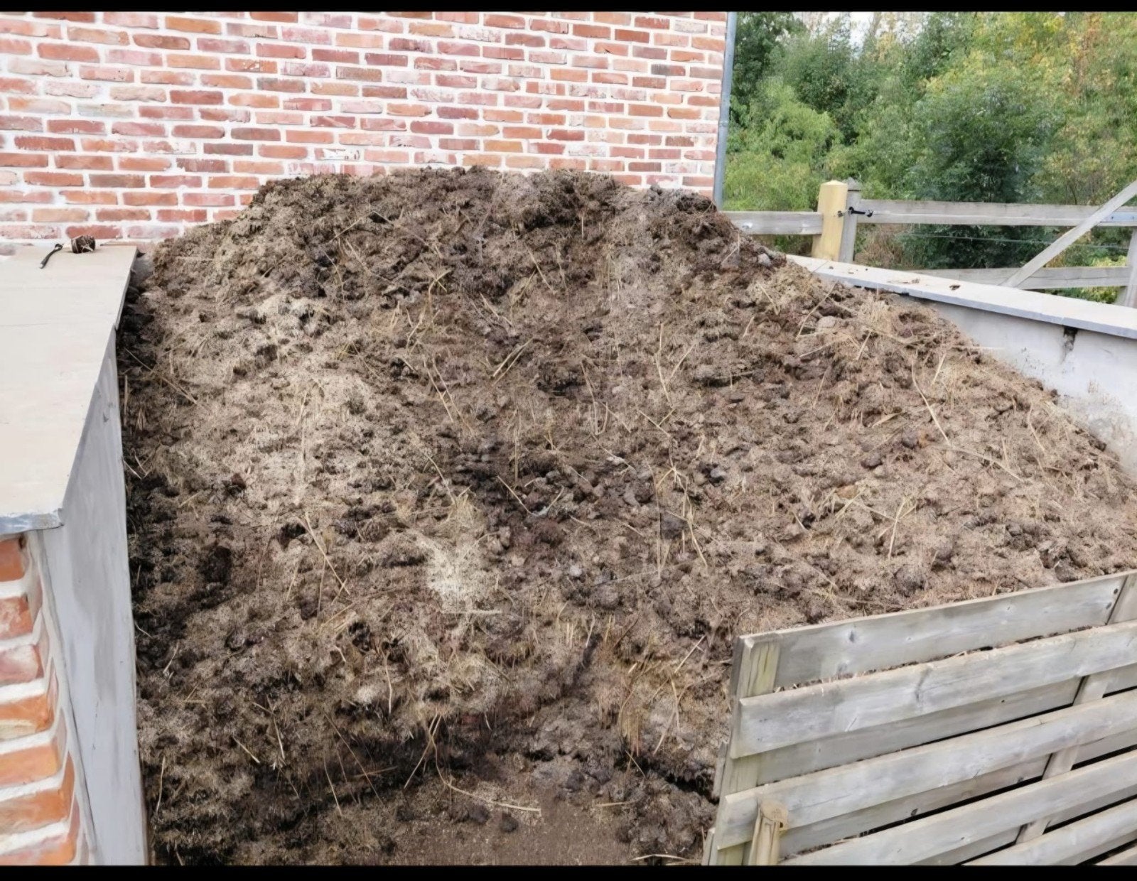Gratis paardenmest gemengd met vlas, Ophalen