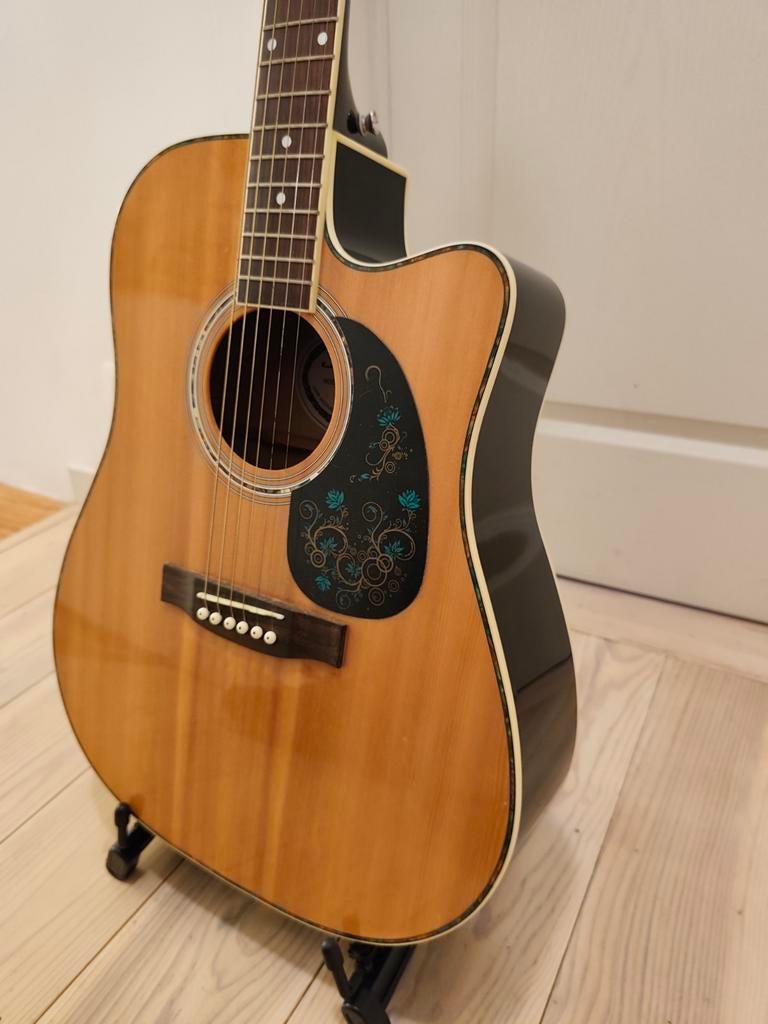 Guitare Électrique Accoustique Jammin