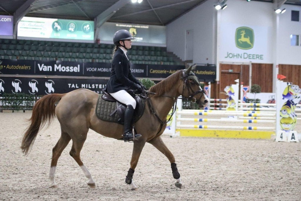 Mooie Pony 143cm, 11 ans ou plus, Avec pedigree, M, Poney D (1.37 m à 1.48m)