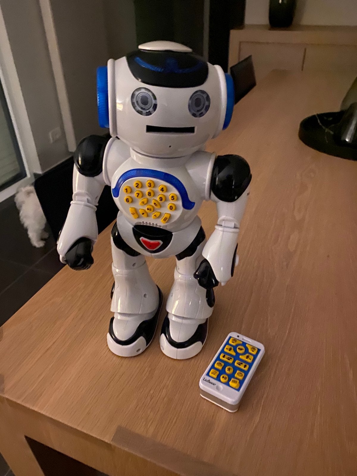 Interactieve robot, Ophalen, Gebruikt