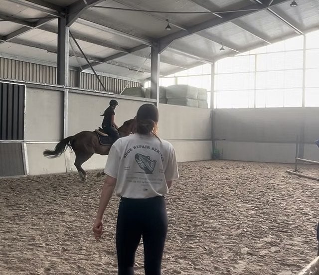 Begeleiding ruiter & paard, Dieren en Toebehoren