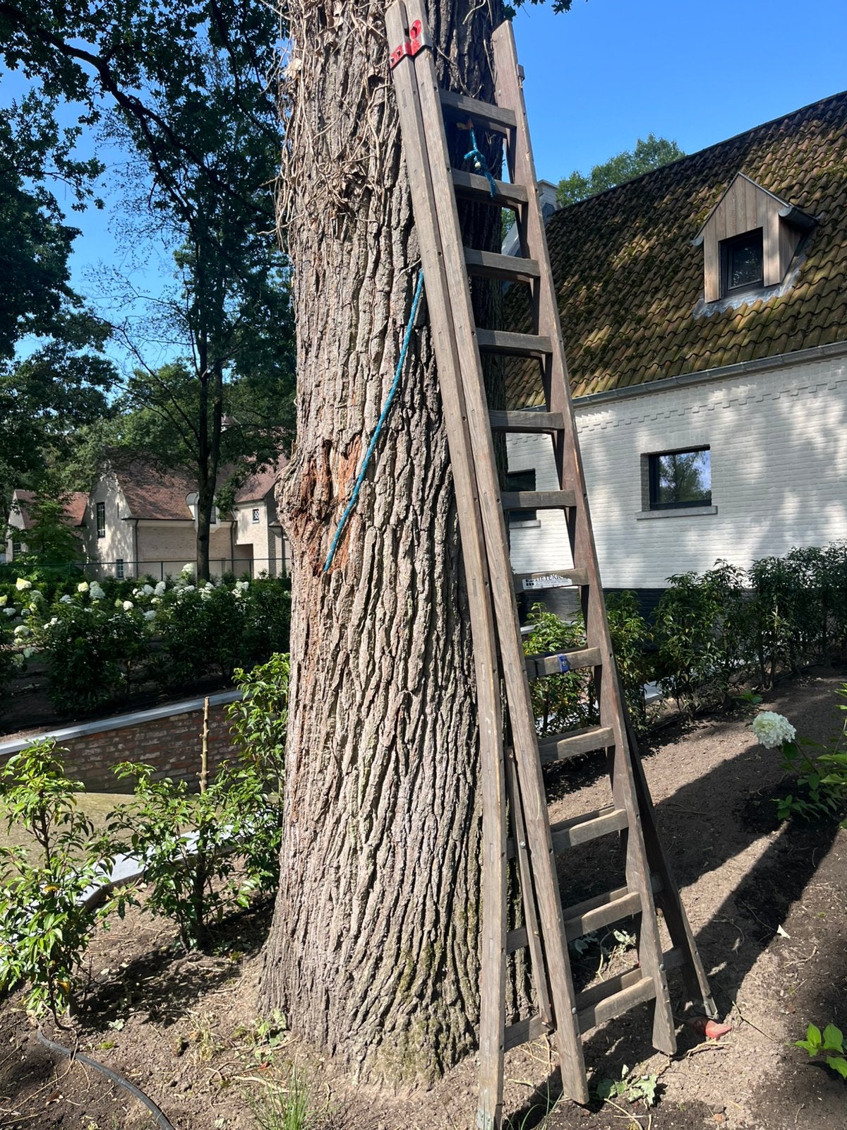 Ladder, Doe-het-zelf en Bouw, Ophalen, Zo goed als nieuw, Ladder