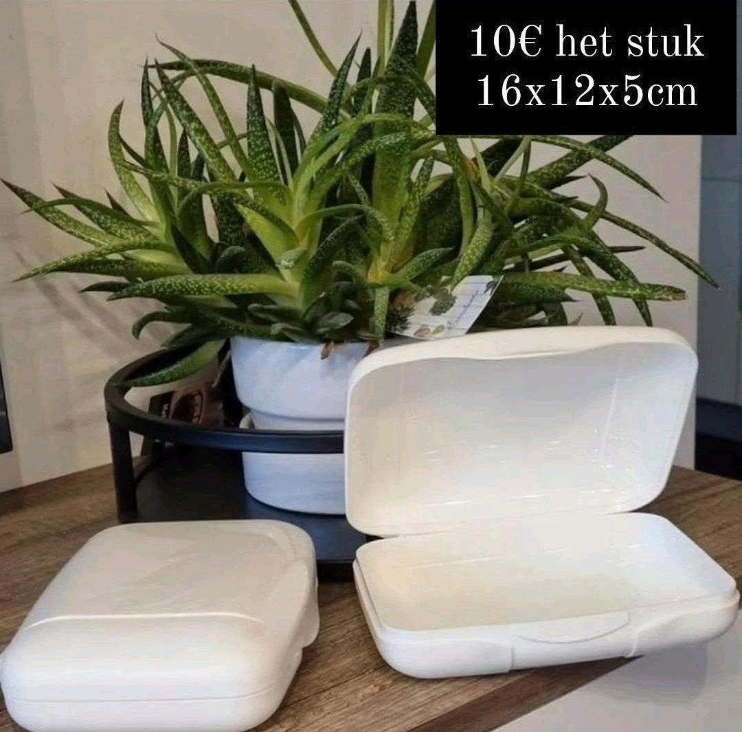 Boîtes à emporter Tupperware, Enlèvement ou Envoi, Neuf