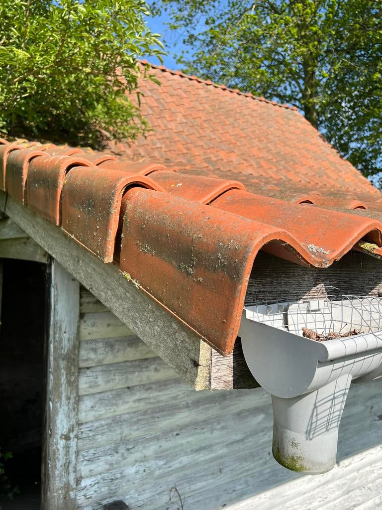 Te koop zelf af te nemen rode boomse dakpannen, 9 jaar oud, Ophalen, Zo goed als nieuw, Dakpannen
