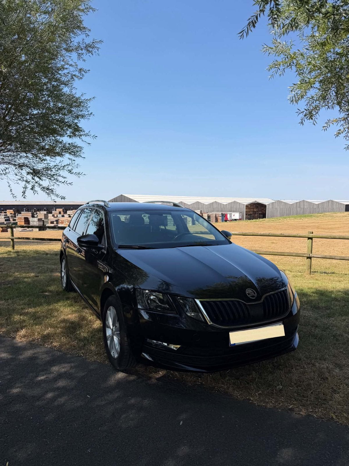 Auto te koop, Autos, Achat, Particulier, Essence, Octavia