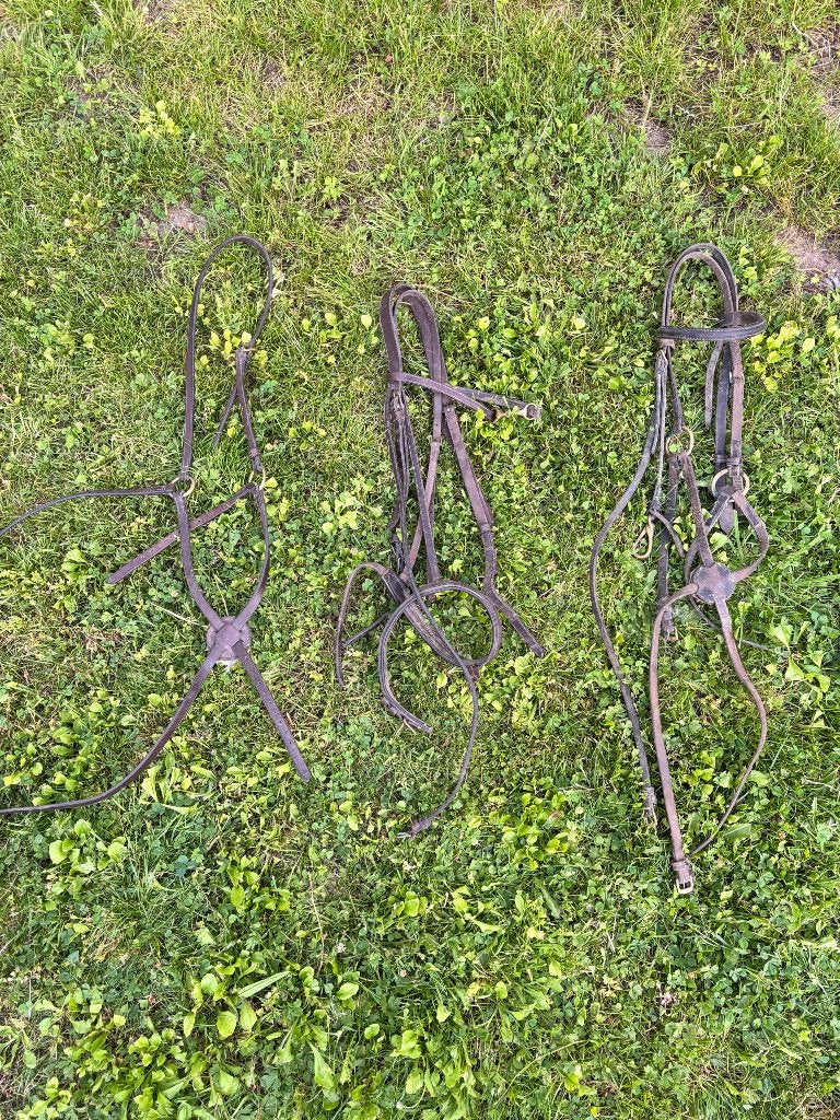 Hoofdstellen, Dieren en Toebehoren, Ophalen of Verzenden, Cob, BR, Hoofdstel