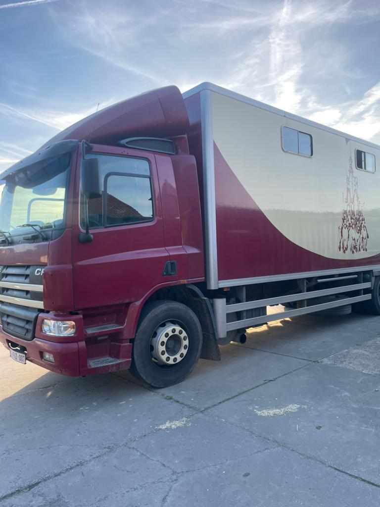 Camion à chevaux Daf, Achat, Diesel, Automatique, Particulier