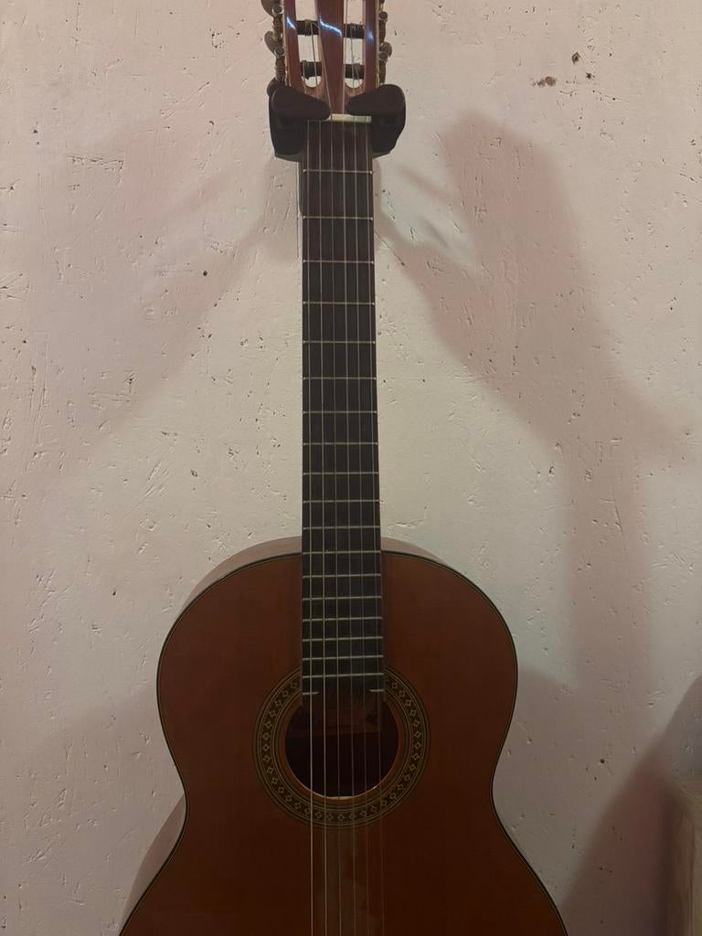 Guitare Salvador Cortez CC10, Musique & Instruments, Instruments à corde | Guitares | Acoustiques, Enlèvement, Comme neuf