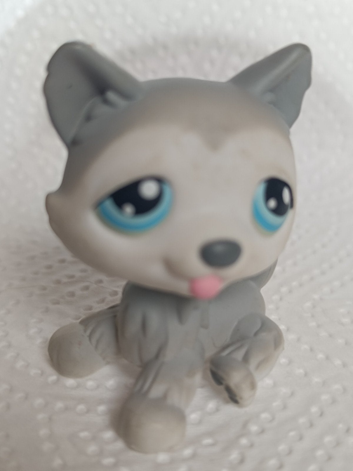 Hasbro littlest Pet Shop #70, Enlèvement ou Envoi