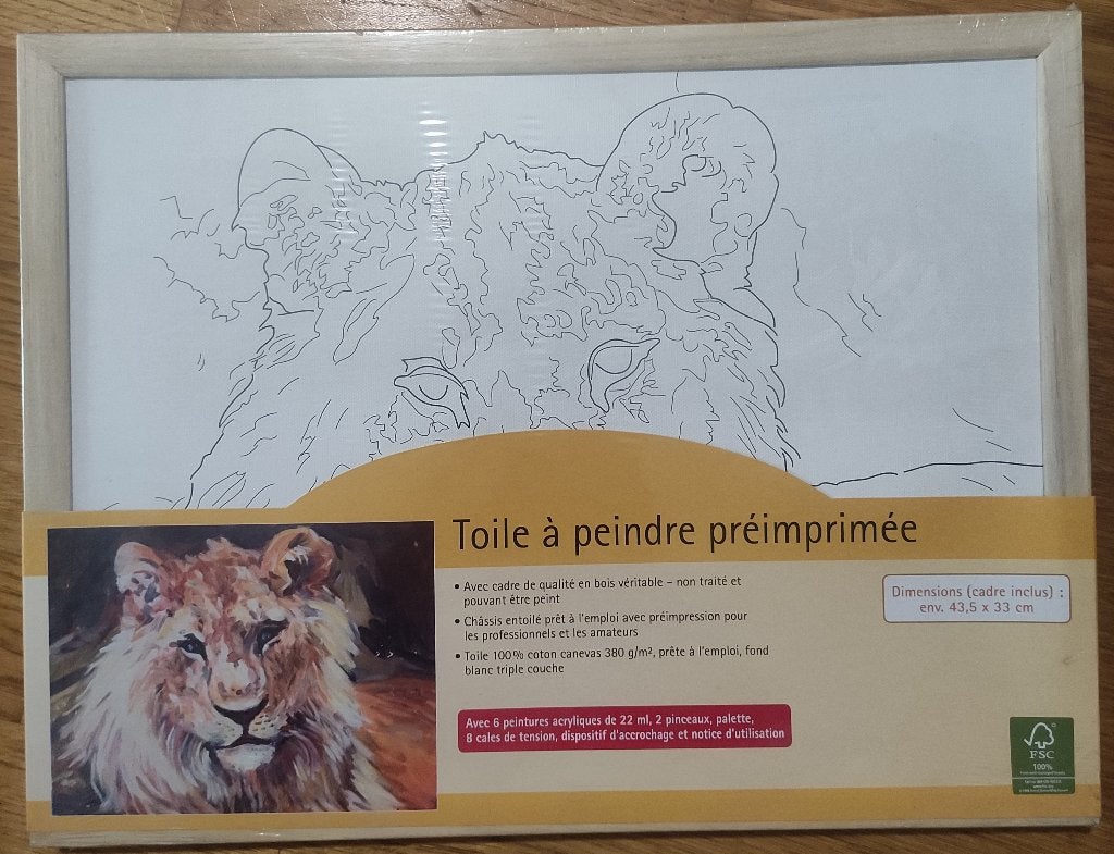 Schilderbare canvaskit, Hobby en Vrije tijd, Schilderen, Ophalen, Nieuw, Doek