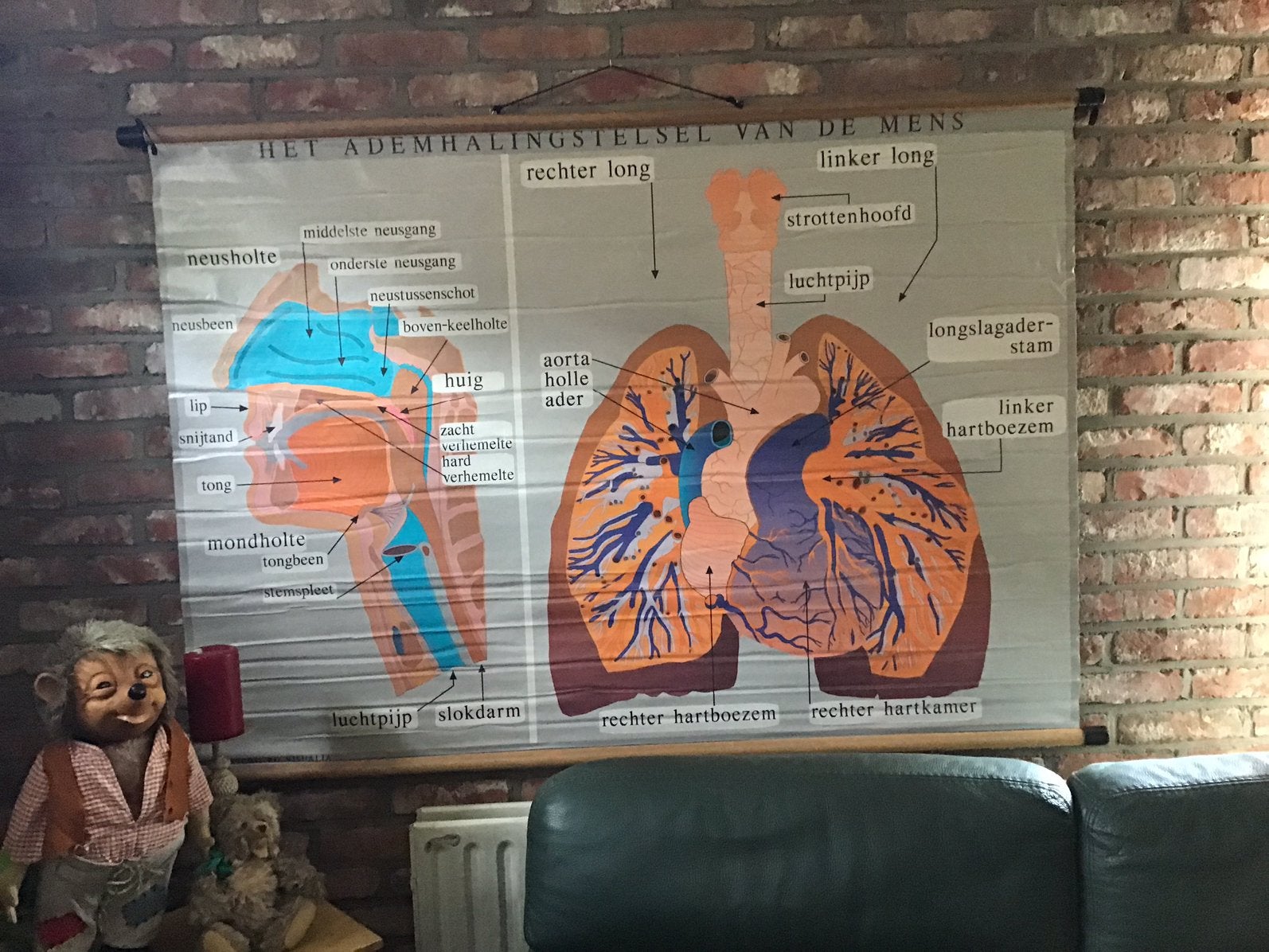 Assiette murale vintage Breathing The lungs, Enlèvement ou Envoi