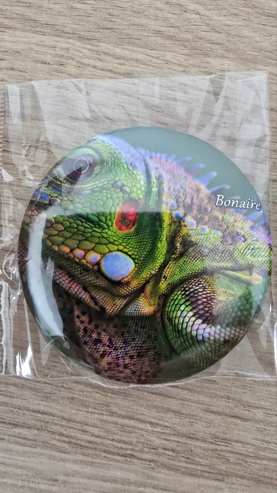 Bonaire Koelkastmagneet & Flessenopener – Groene Leguaan, Ophalen of Verzenden, Nieuw
