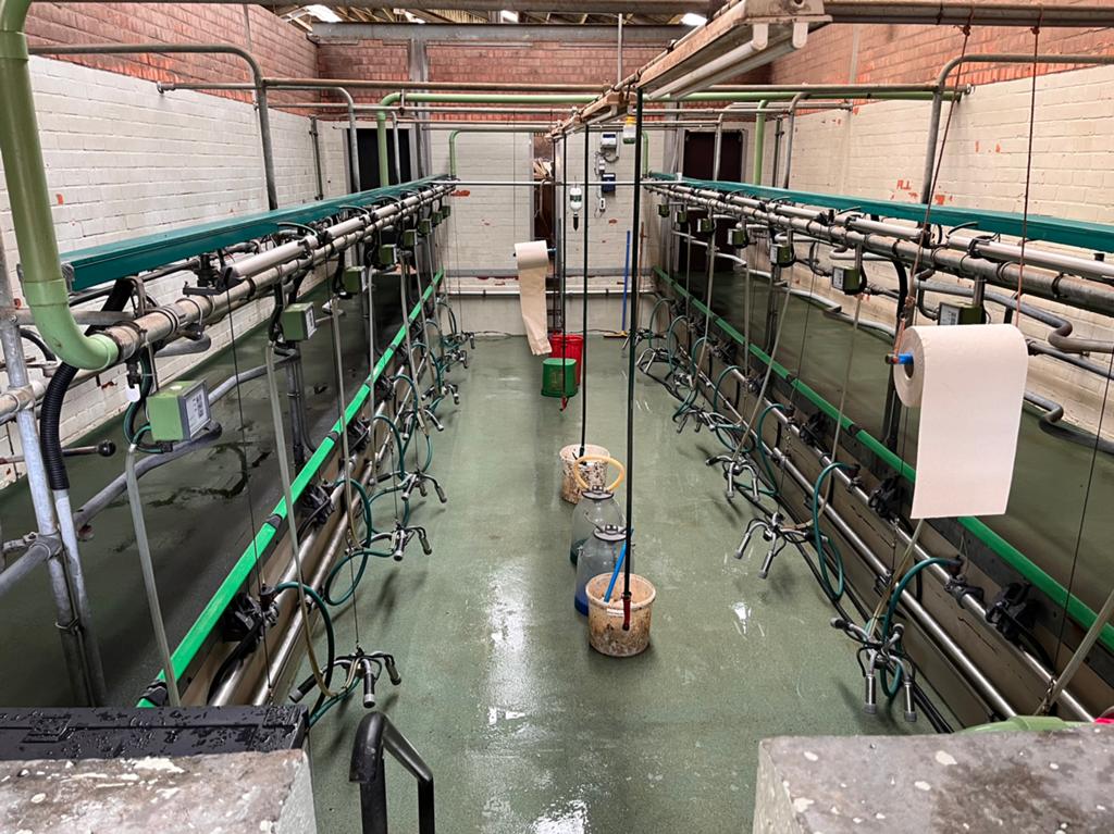 Gea 2x8 visgraad, Dieren en Toebehoren, Stalling en Weidegang