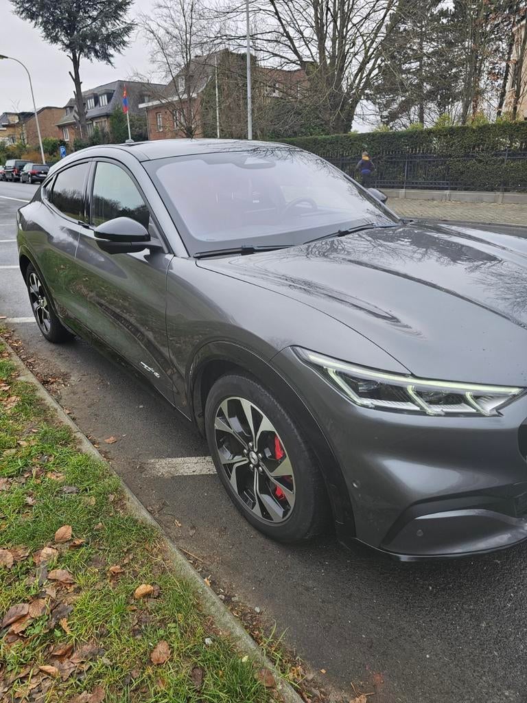 Ford mustang e mach elektrische awd, Automaat, Leder, Elektrisch, 5 zetels