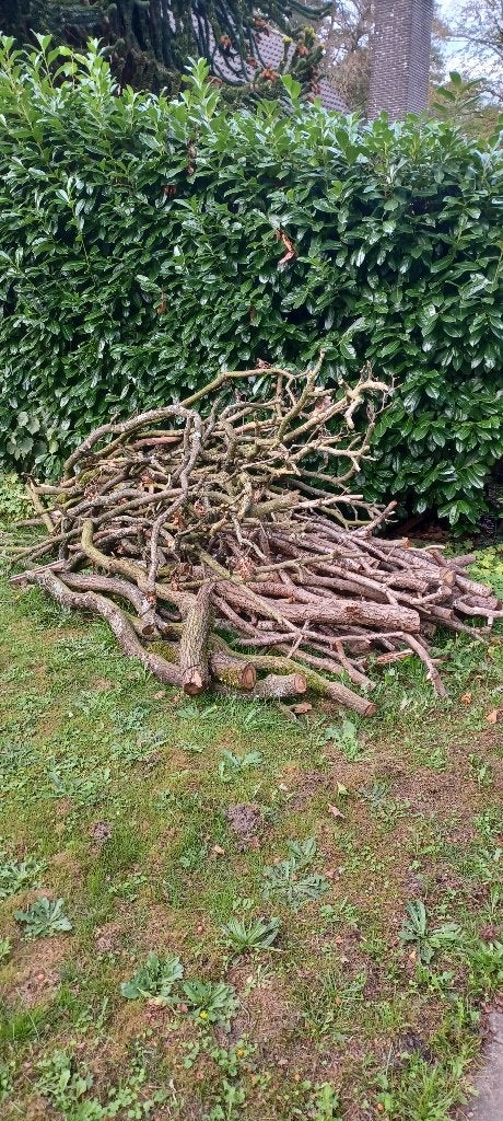 gratis hout, Ophalen