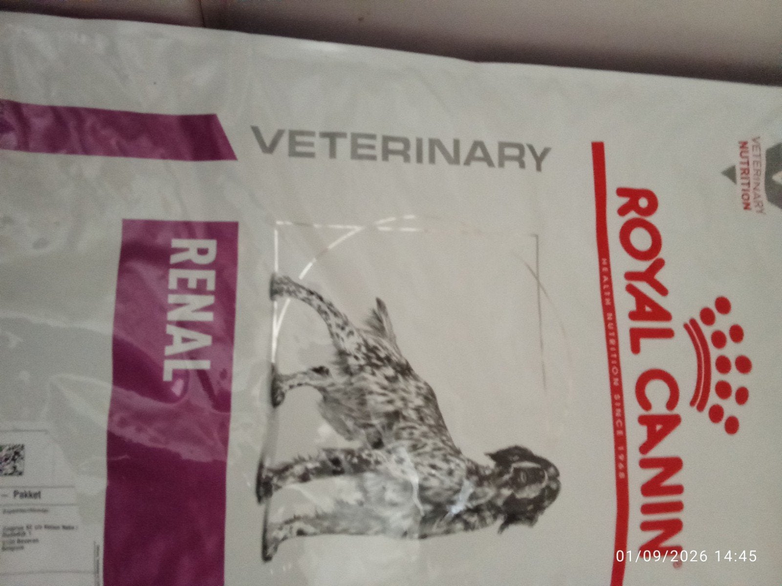royal canin, Animaux & Accessoires, Nourriture pour Animaux, Enlèvement