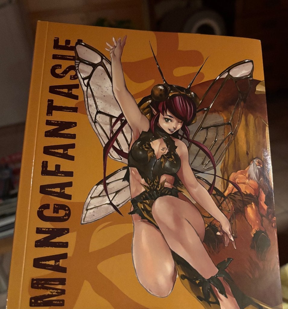 Mangafantasie, Livres, Enlèvement, Comme neuf