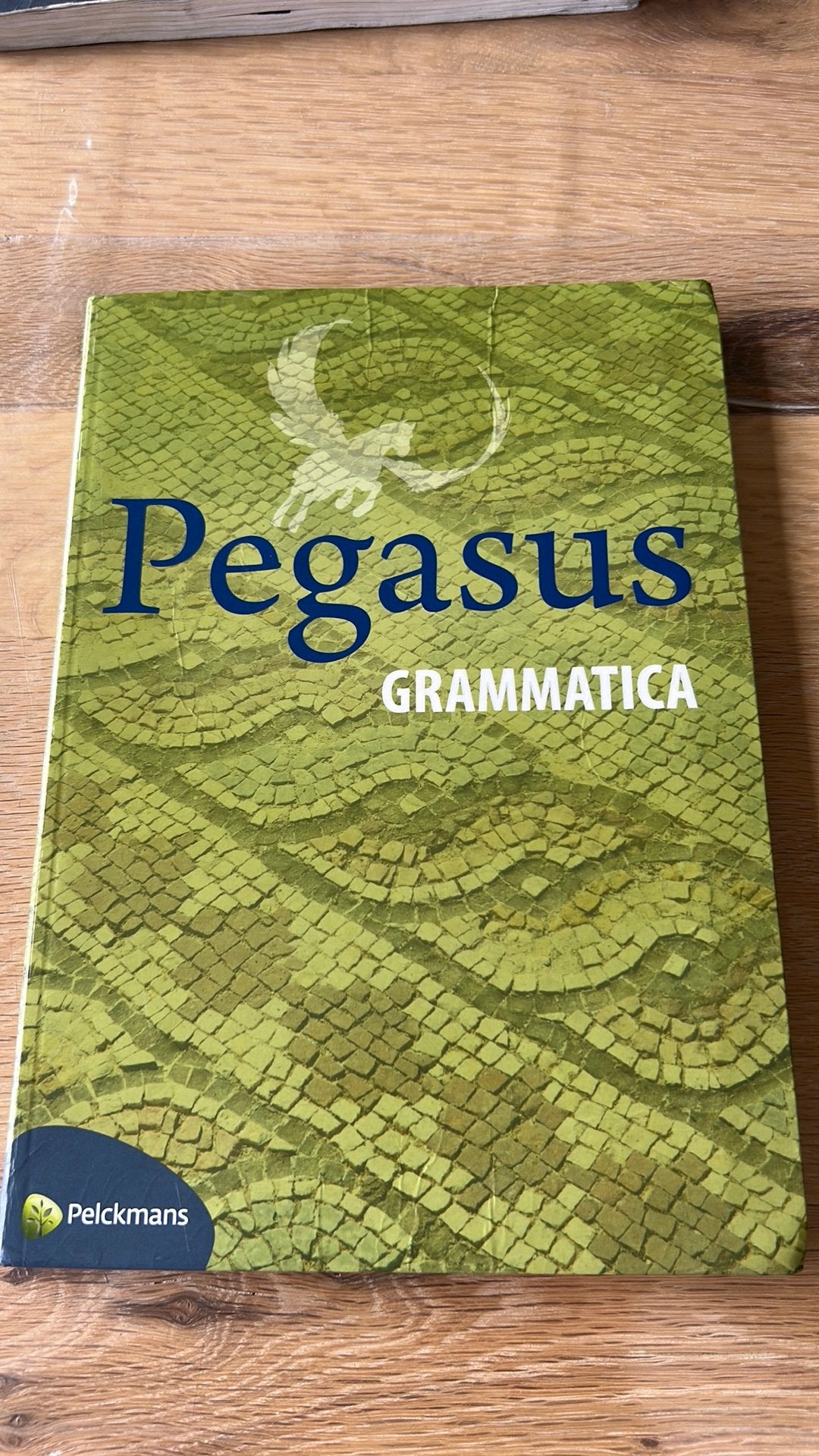 Pegasus grammatica, Boeken, Ophalen of Verzenden, Nederlands